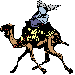 camel.gif